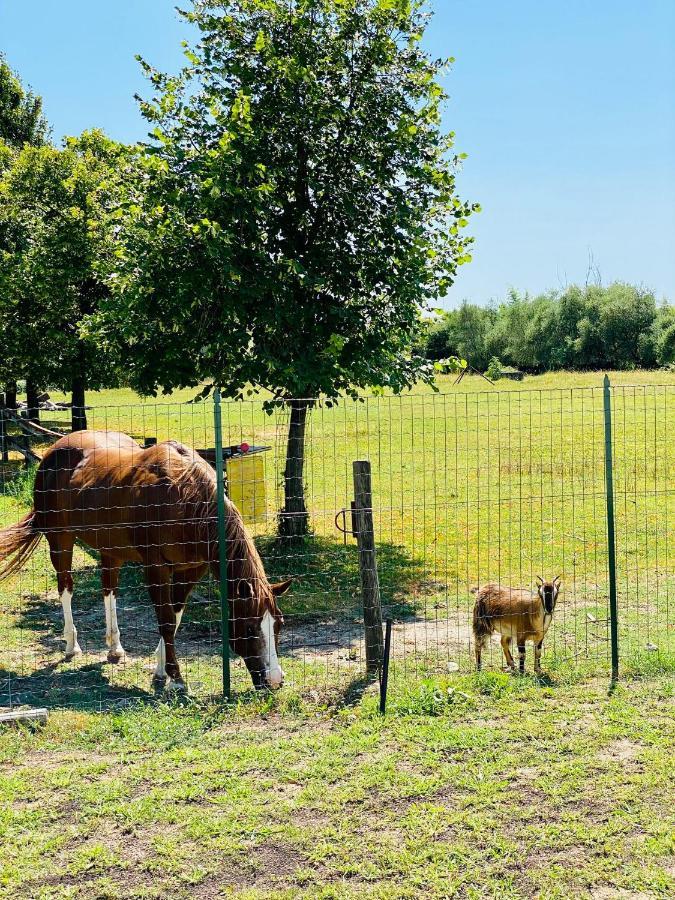 מלון Pacengo Di Lazise I Broletti Del Garda מראה חיצוני תמונה