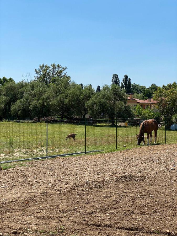 מלון Pacengo Di Lazise I Broletti Del Garda מראה חיצוני תמונה